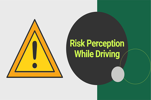 Risk Perception While Driving